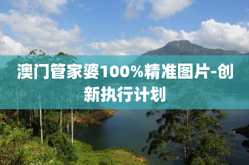 澳门管家婆100%精准图片-创新执行计划