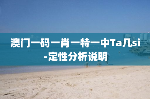 澳门一码一肖一特一中Ta几si-定性分析说明
