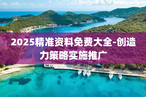 2025精准资料免费大全-创造力策略实施推广