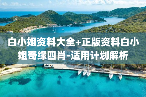 白小姐资料大全+正版资料白小姐奇缘四肖-适用计划解析