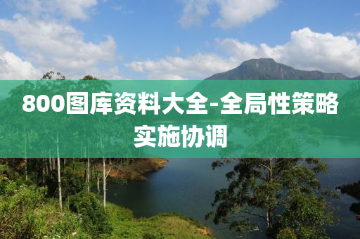 800图库资料大全-全局性策略实施协调