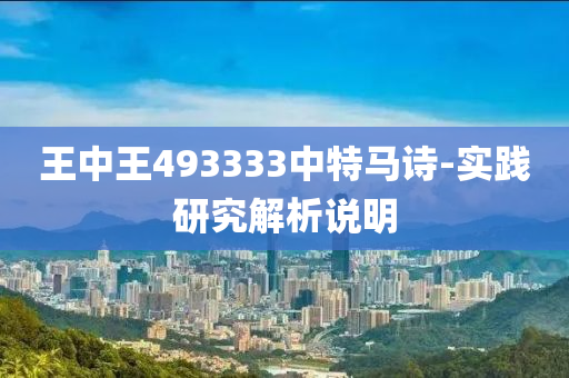 王中王493333中特马诗-实践研究解析说明