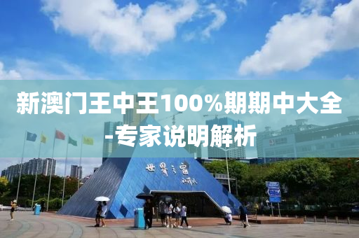 新澳门王中王100%期期中大全-专家说明解析