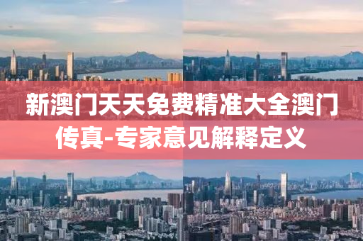 新澳门天天免费精准大全澳门传真-专家意见解释定义