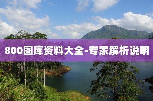 800图库资料大全-专家解析说明