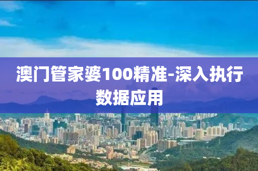 澳门管家婆100精准-深入执行数据应用