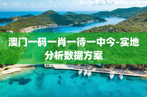 澳门一码一肖一待一中今-实地分析数据方案