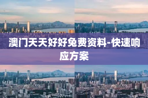 澳门天天好好兔费资料-快速响应方案