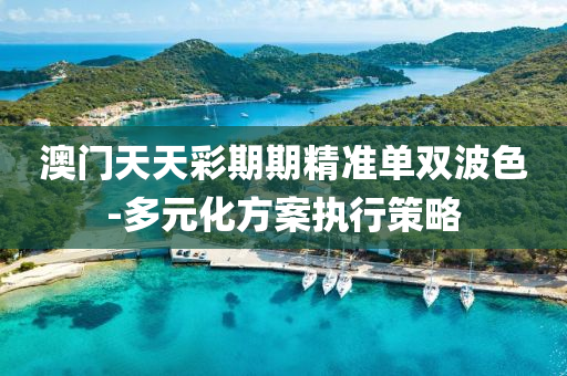 澳门天天彩期期精准单双波色-多元化方案执行策略