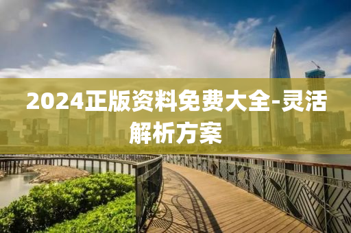 2024正版资料免费大全-灵活解析方案