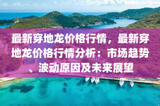 最新穿地龙价格行情，最新穿地龙价格行情分析：市场趋势、波动原因及未来展望