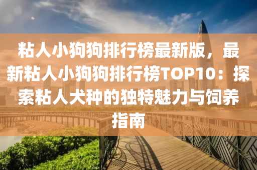 粘人小狗狗排行榜最新版，最新粘人小狗狗排行榜TOP10：探索粘人犬种的独特魅力与饲养指南
