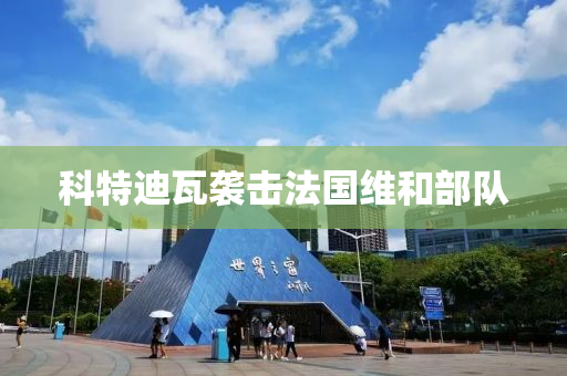 科特迪瓦袭击法国维和部队