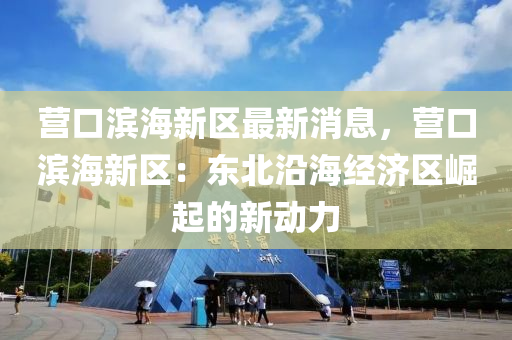 营口滨海新区最新消息，营口滨海新区：东北沿海经济区崛起的新动力