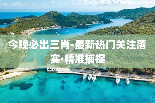 今晚必出三肖-最新热门关注落实·精准捕捉
