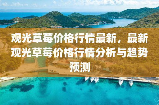 观光草莓价格行情最新，最新观光草莓价格行情分析与趋势预测