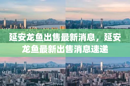 延安龙鱼出售最新消息，延安龙鱼最新出售消息速递