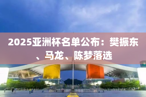 2025亚洲杯名单公布：樊振东、马龙、陈梦落选