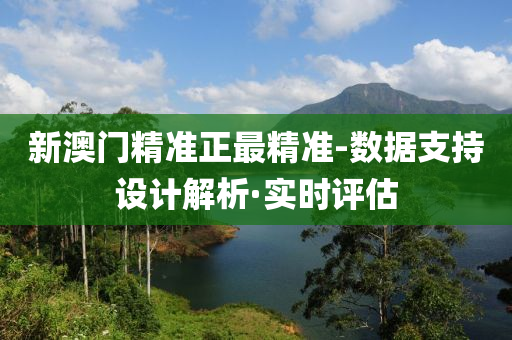 新澳门精准正最精准-数据支持设计解析·实时评估