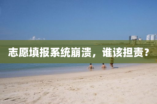 志愿填报系统崩溃，谁该担责？