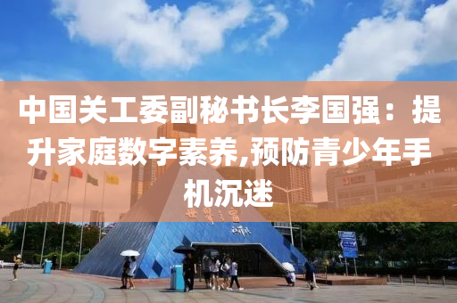 中国关工委副秘书长李国强：提升家庭数字素养,预防青少年手机沉迷