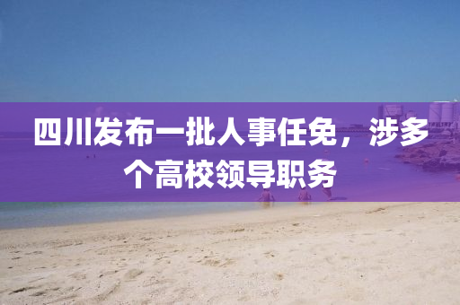 四川发布一批人事任免，涉多个高校领导职务