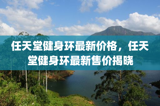 任天堂健身环最新价格，任天堂健身环最新售价揭晓