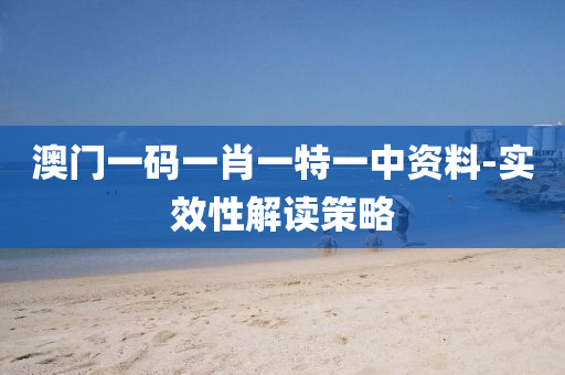 澳门一码一肖一特一中资料-实效性解读策略