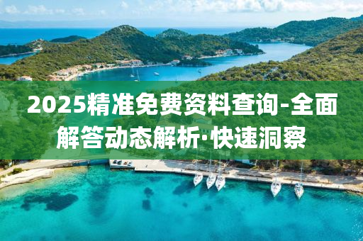 2025精准免费资料查询-全面解答动态解析·快速洞察