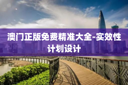 澳门正版免费精准大全-实效性计划设计