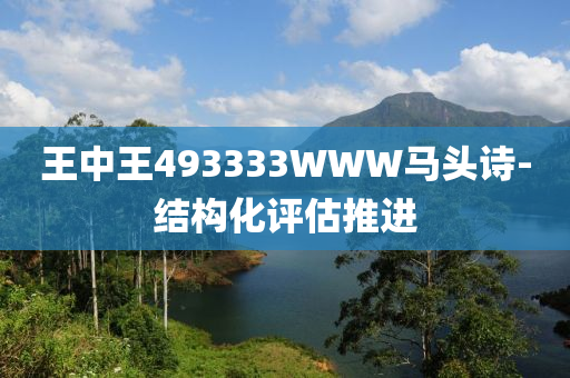 王中王493333WWW马头诗-结构化评估推进