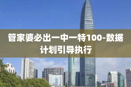 管家婆必出一中一特100-数据计划引导执行