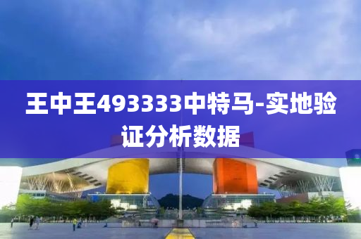 王中王493333中特马-实地验证分析数据