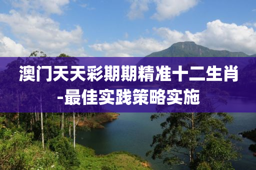 澳门天天彩期期精准十二生肖-最佳实践策略实施