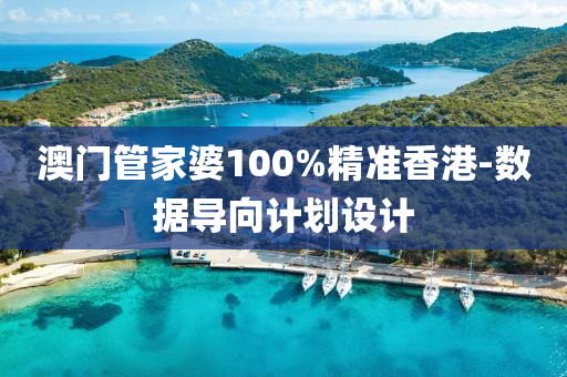 澳门管家婆100%精准香港-数据导向计划设计