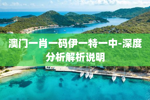 澳门一肖一码伊一特一中-深度分析解析说明