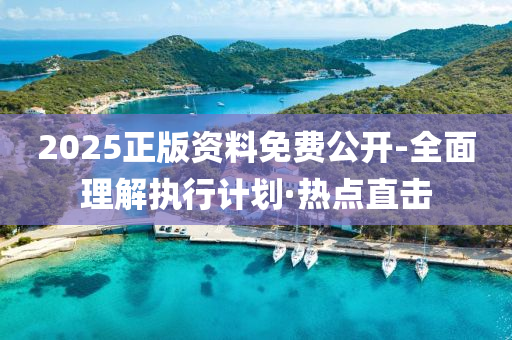 2025正版资料免费公开-全面理解执行计划·热点直击