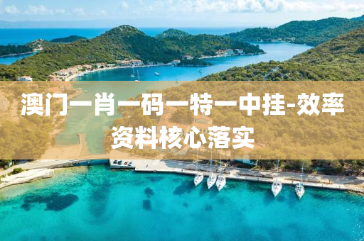 澳门一肖一码一特一中挂-效率资料核心落实