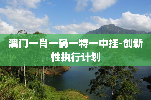 澳门一肖一码一特一中挂-创新性执行计划