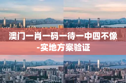 澳门一肖一码一待一中四不像-实地方案验证