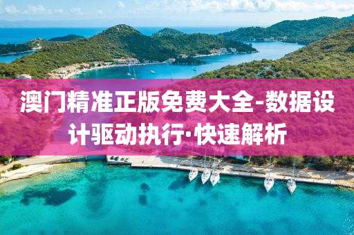 澳门精准正版免费大全-数据设计驱动执行·快速解析