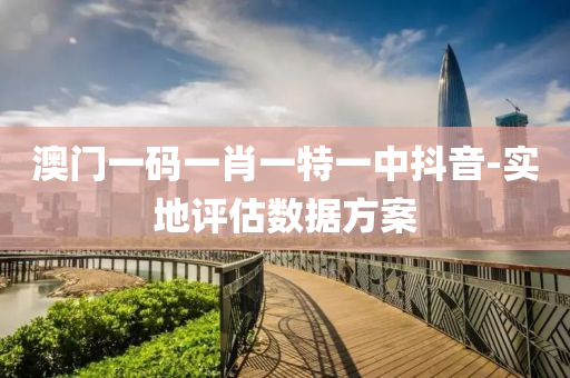 澳门一码一肖一特一中抖音-实地评估数据方案