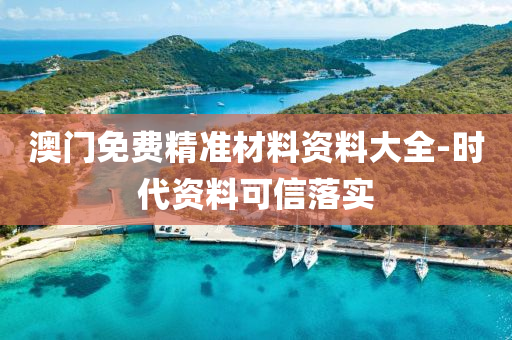 澳门免费精准材料资料大全-时代资料可信落实