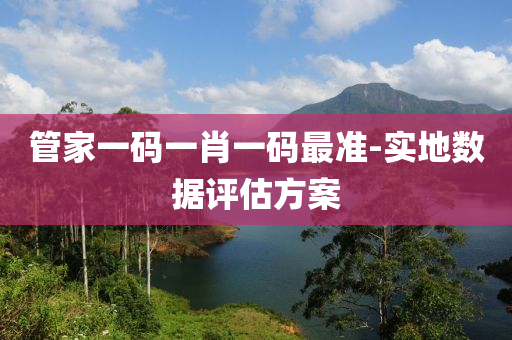 管家一码一肖一码最准-实地数据评估方案