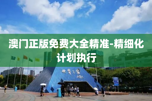 澳门正版免费大全精准-精细化计划执行