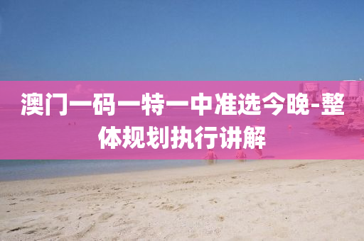 澳门一码一特一中准选今晚-整体规划执行讲解