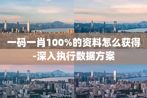 一码一肖100%的资料怎么获得-深入执行数据方案