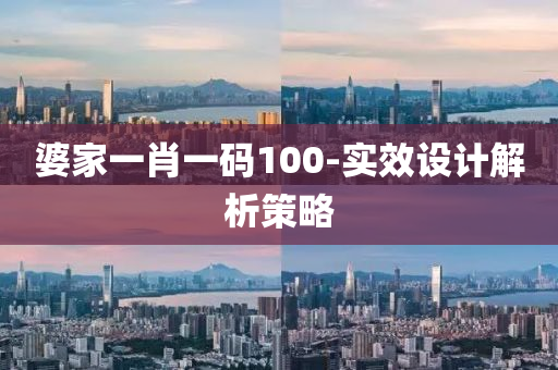 婆家一肖一码100-实效设计解析策略