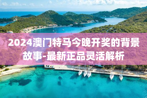 2024澳门特马今晚开奖的背景故事-最新正品灵活解析