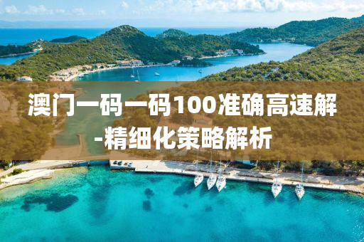 澳门一码一码100准确高速解-精细化策略解析